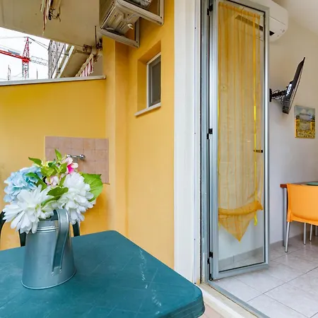 Pinolo Mono Int 5 B - Myho Casa *